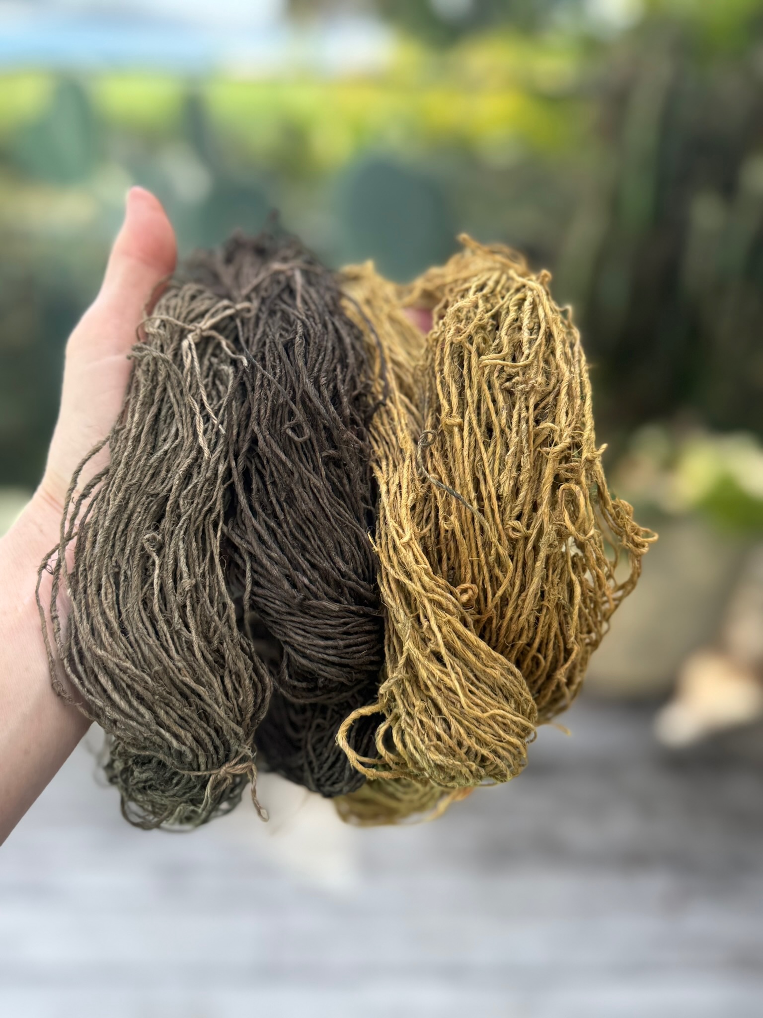 Naturally dyed fibre skeins held in hand